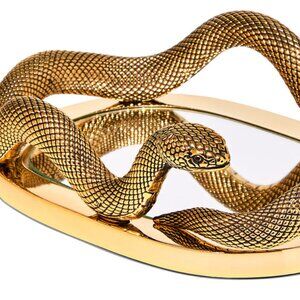 Snake Mirror Body Care Tray